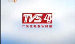 广东影视频道,光影交织，演绎岭南风情