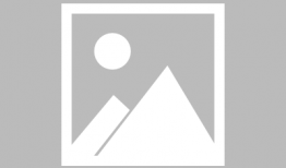 免费视频网,海量资源一网打尽，畅享观影新体验